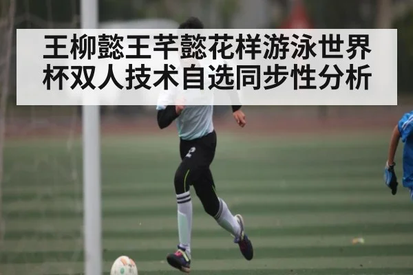 王柳懿王芊懿花样游泳世界杯双人技术自选同步性分析